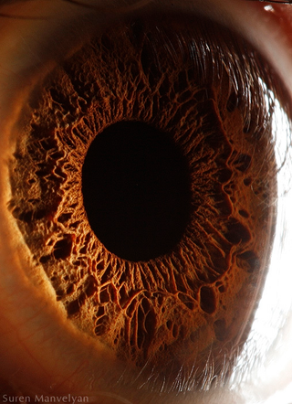 Illustration for article titled Extreme close-ups of human eyes look like craters on Mars